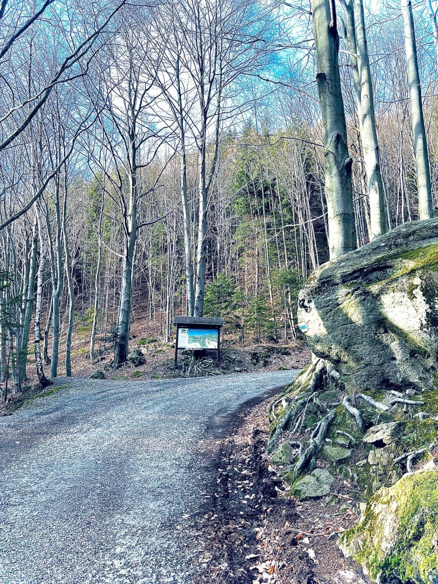 Chatka Pod Lysou Ostravice Esterno foto