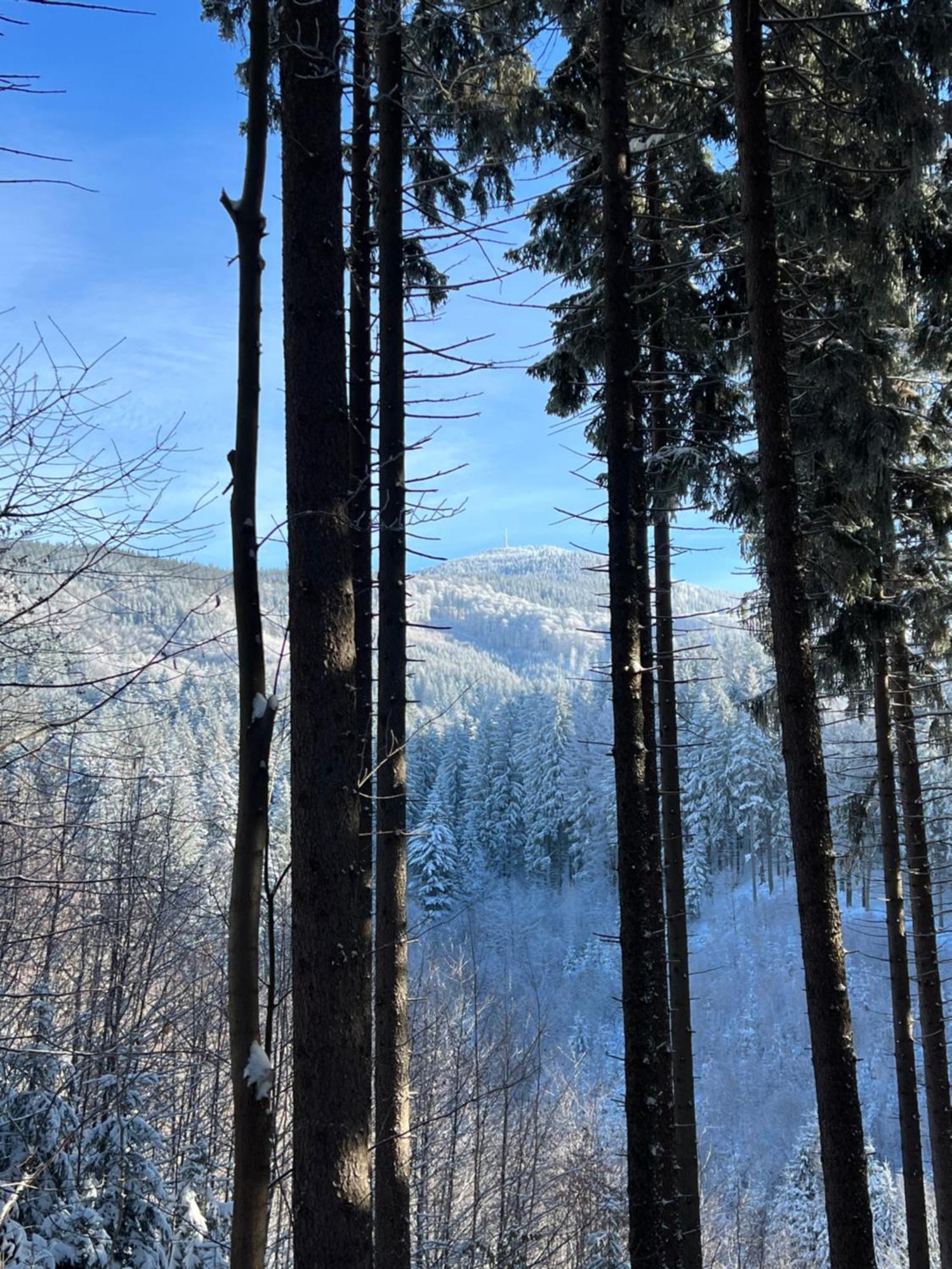 Chatka Pod Lysou Ostravice Esterno foto
